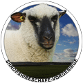 shropshireschafe-vorgebirge